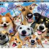 Spielzeug Educa | Puzzle, 500 Teile - Selfies, Hunde + Katzen