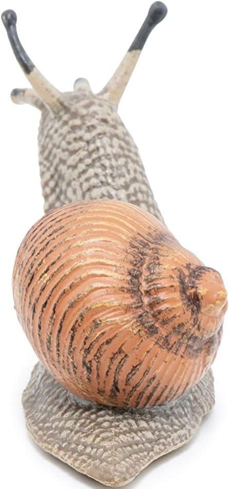 Spielzeug Papo | Weinbergschnecke (L: 6 Cm)