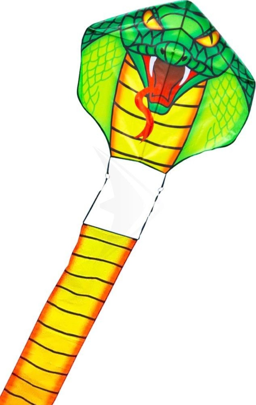 Spielzeug HQ | Drachen Cobra - Mit 10 M Langem Schweif