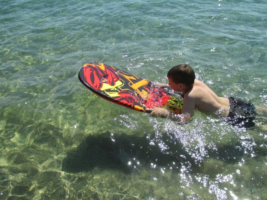 Spielzeug Schildkröt | Bodyboard - Gros